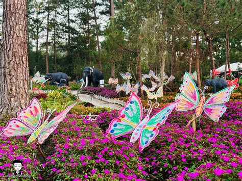 An ‘Enchanting Baguio Christmas’ 2023: A festive  .